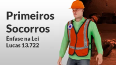 Primeiros Socorros - Enfase na Lei Lucas 13.722